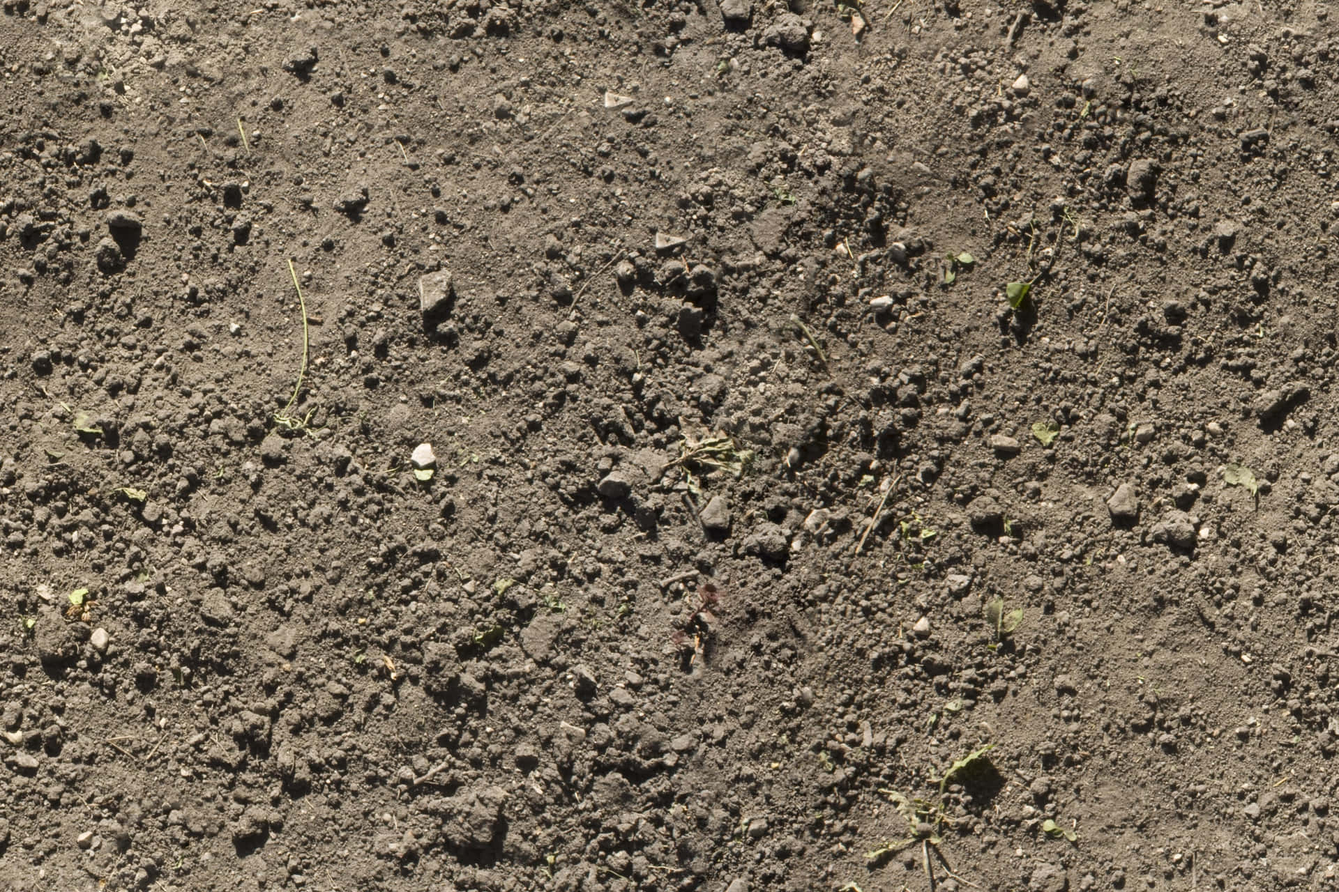 dirt-background
